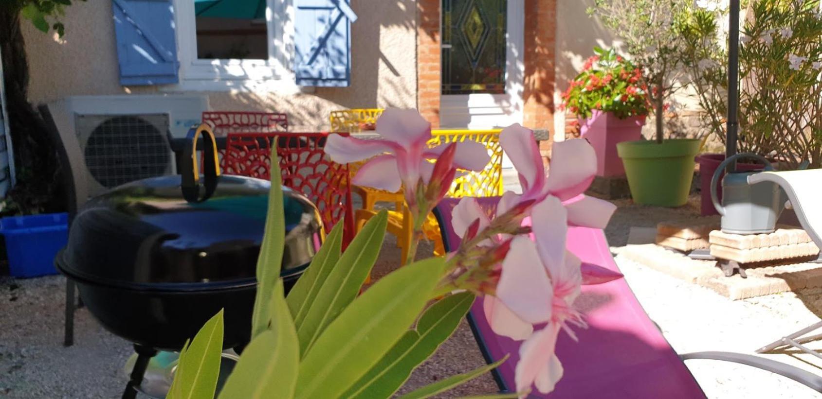 L'Hermine Occitane B&B Gratens المظهر الخارجي الصورة