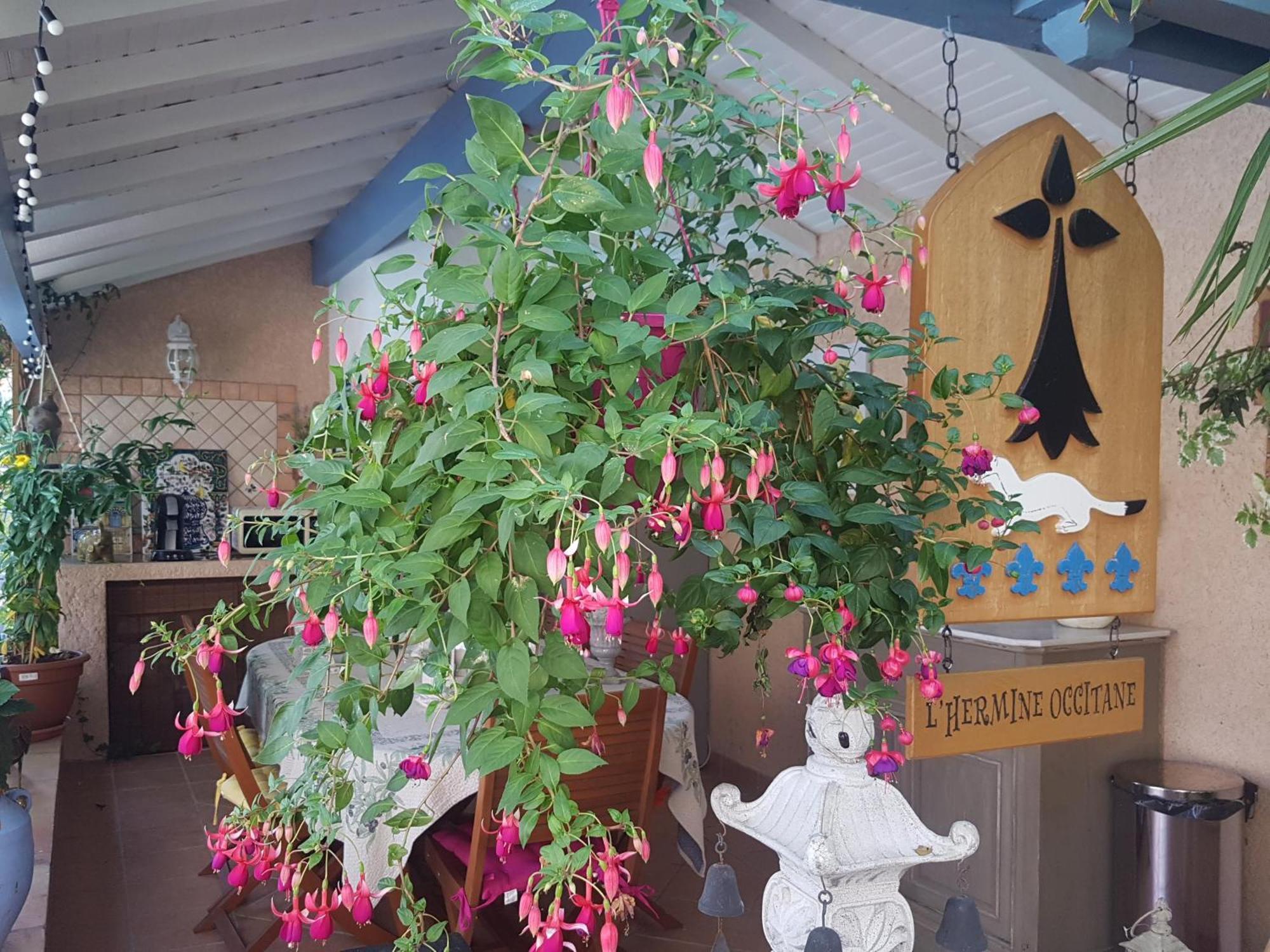 L'Hermine Occitane B&B Gratens المظهر الخارجي الصورة