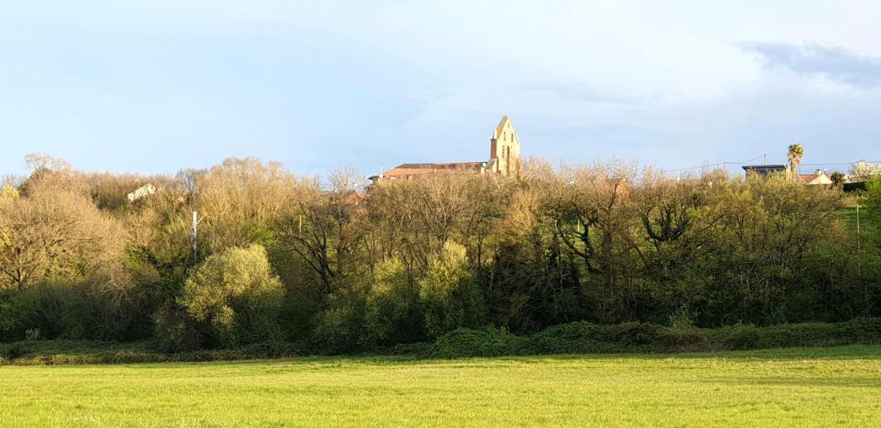 L'Hermine Occitane B&B Gratens المظهر الخارجي الصورة