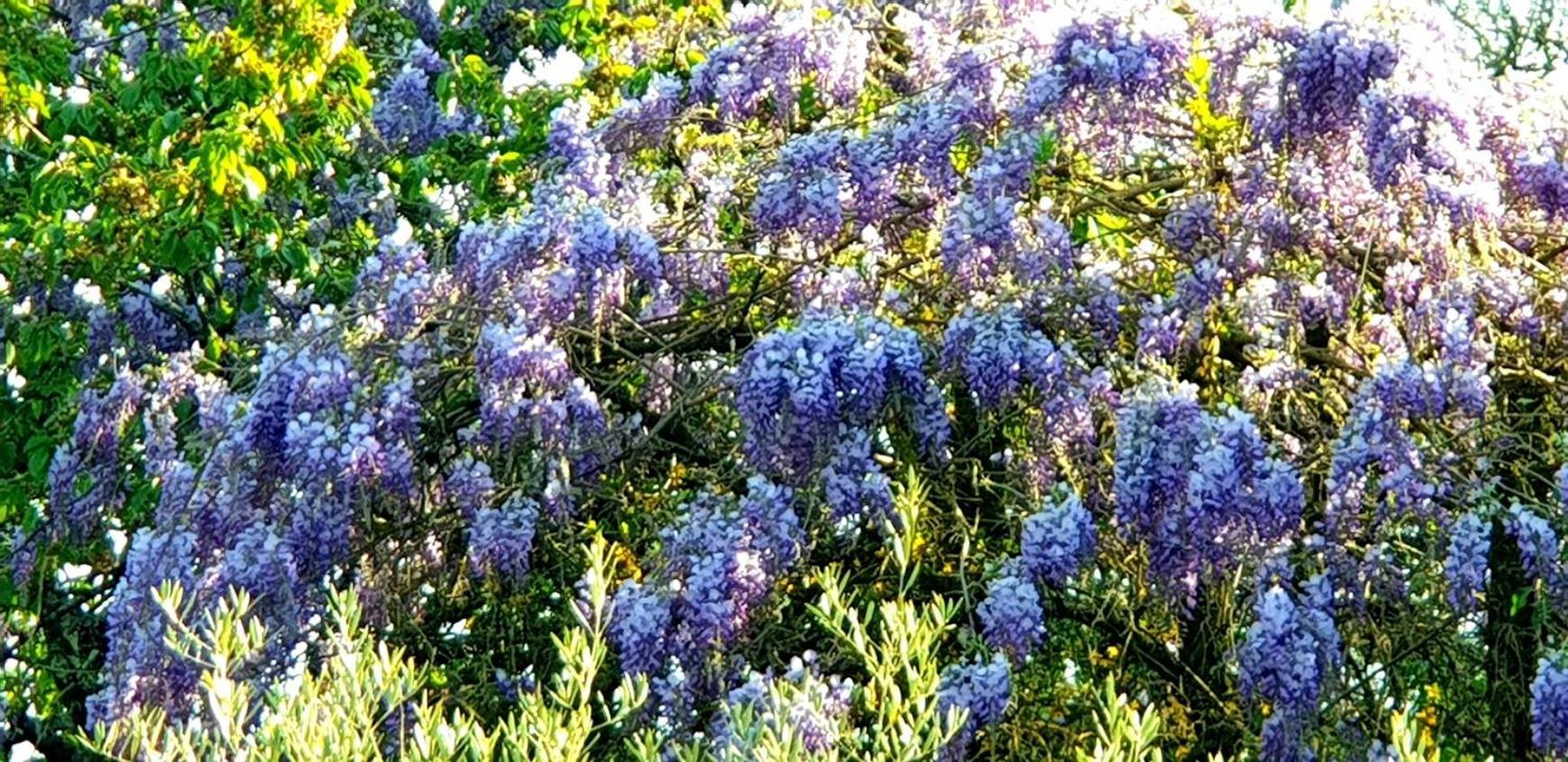 L'Hermine Occitane B&B Gratens المظهر الخارجي الصورة