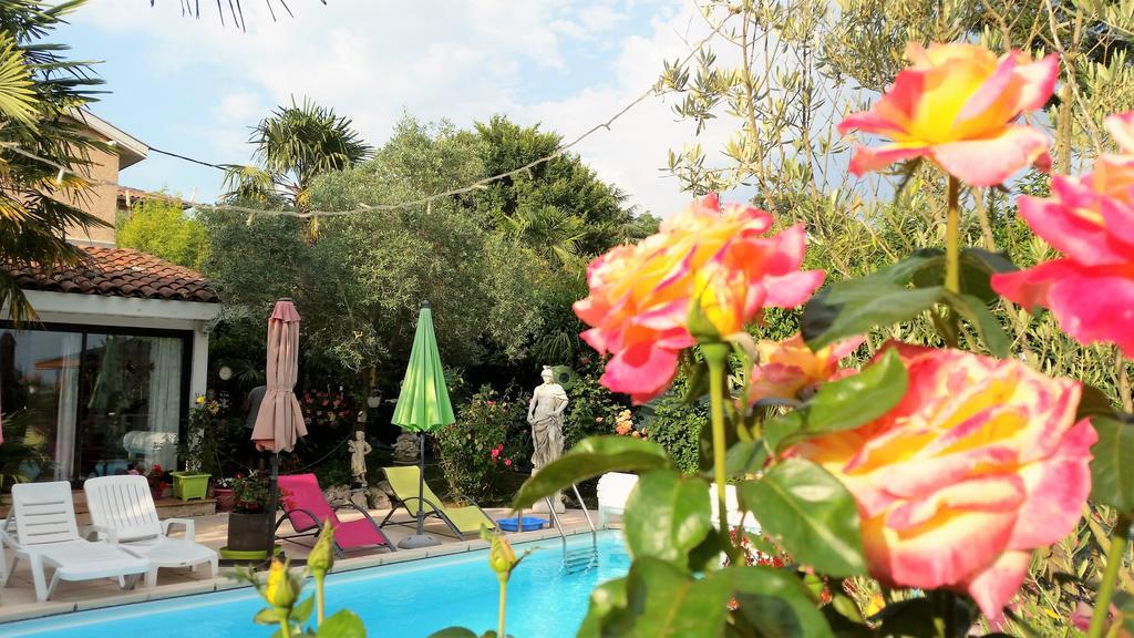L'Hermine Occitane B&B Gratens المظهر الخارجي الصورة