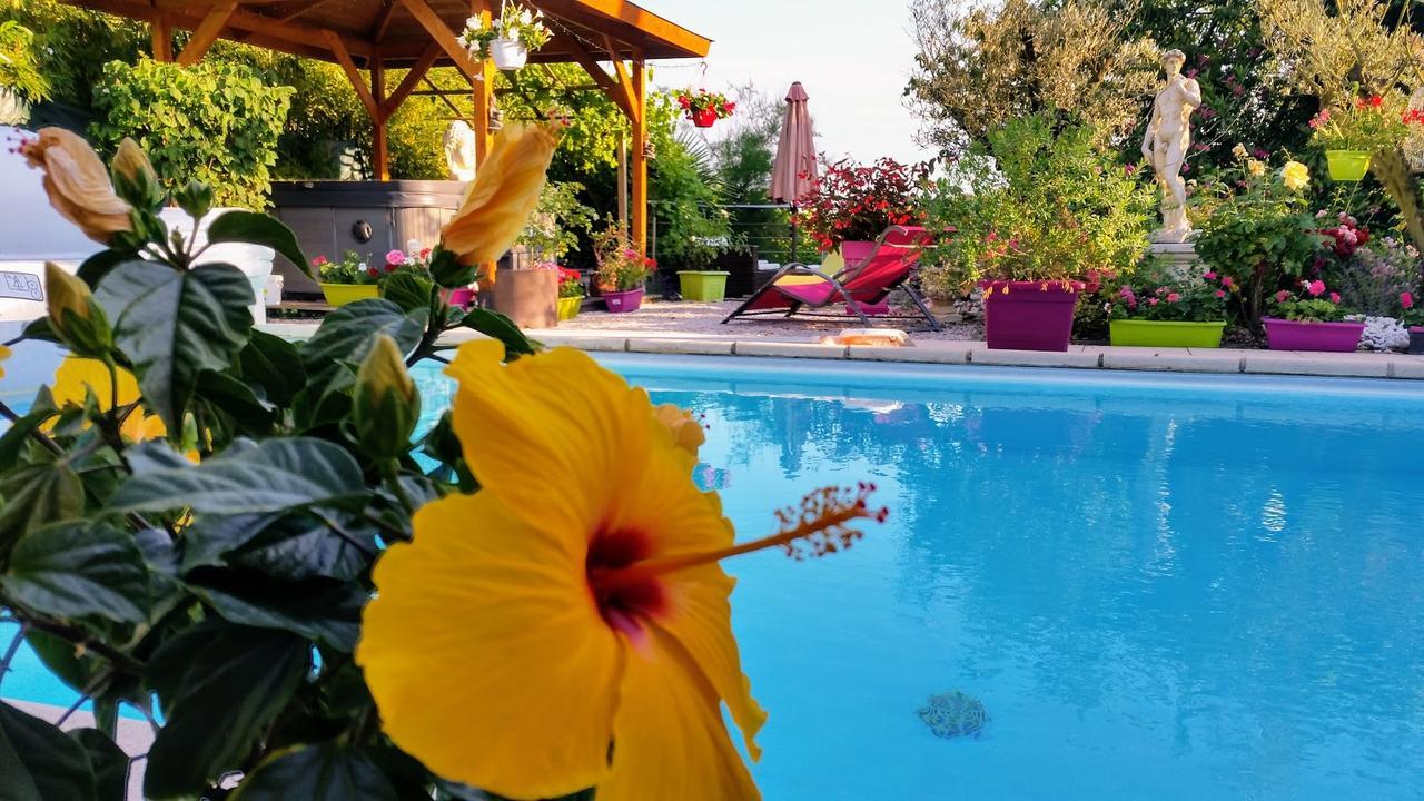 L'Hermine Occitane B&B Gratens المظهر الخارجي الصورة